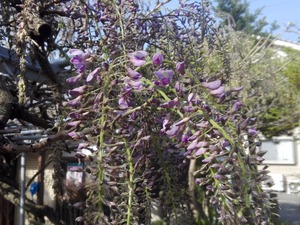 IMG_20170422_080632.jpg
