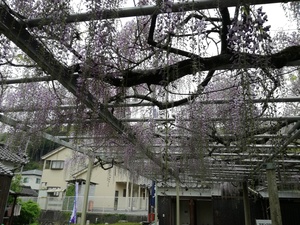 IMG_20190429_075733.jpg