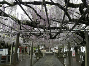 IMG_20190430_074646.jpg